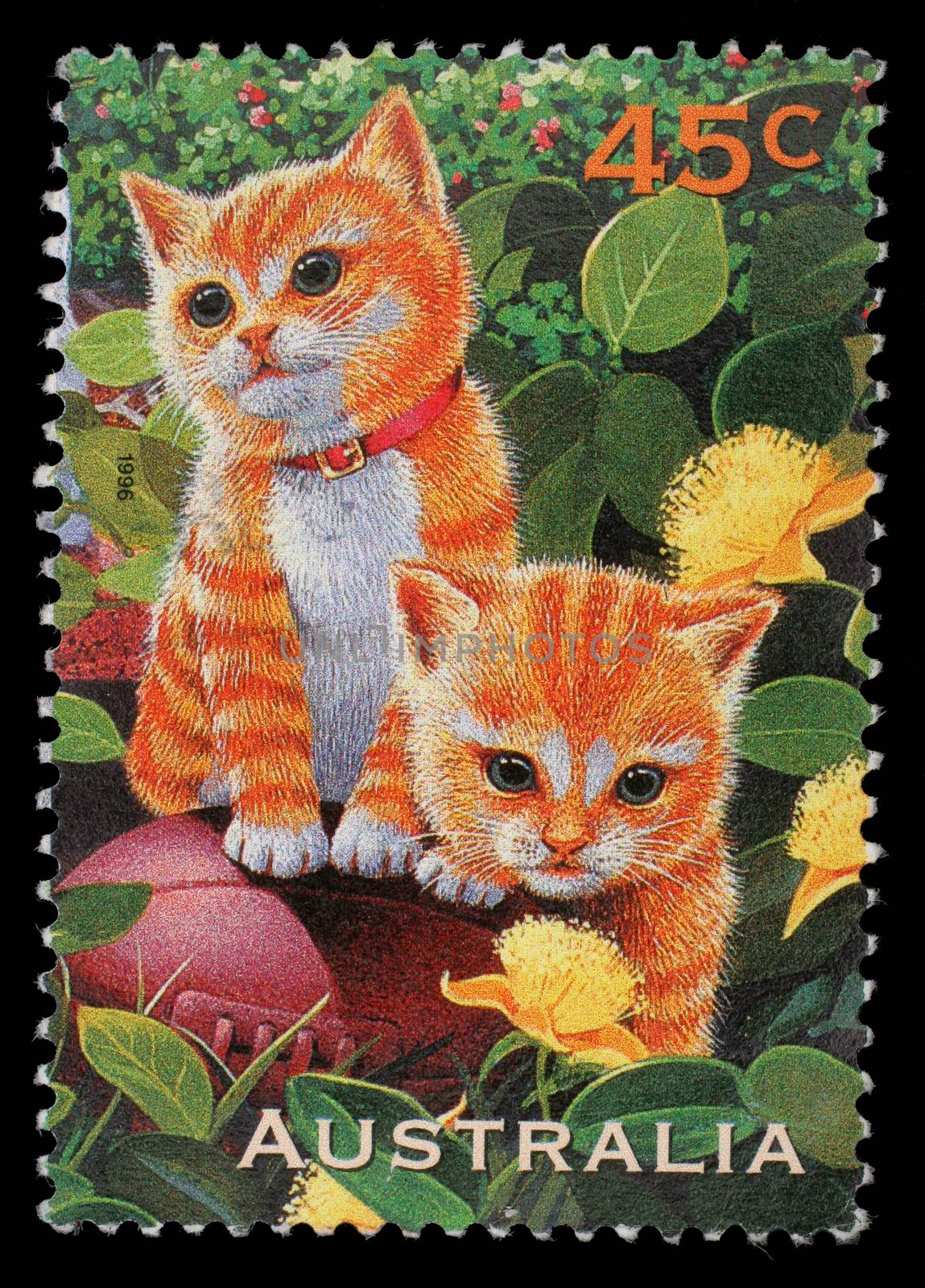Stamp printed in the Australia shows Kittens, Pets, circa 1996