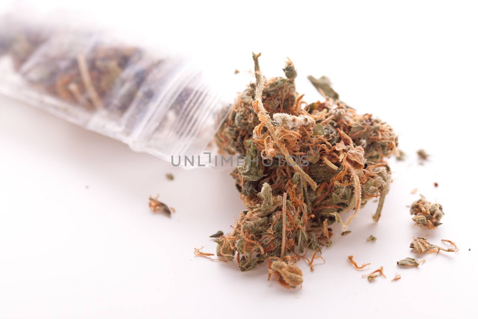 Close up Dried Cannabis or Marijuana Leaves Used for Psychoactive Drug or Medicine on Top of the Table