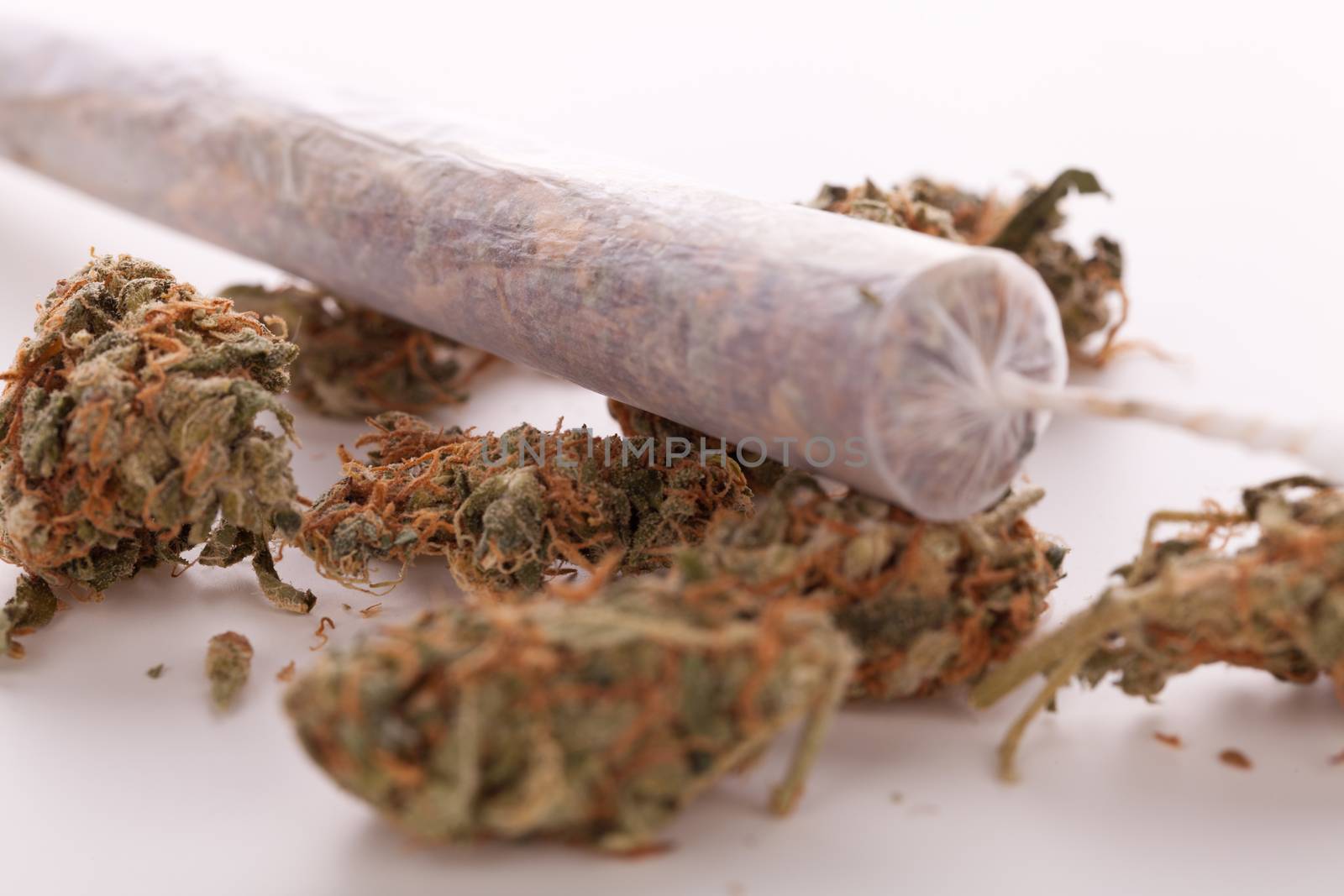 Close up of dried marijuana leaves and tied end of marijuana joint with translucent rolling paper on white background