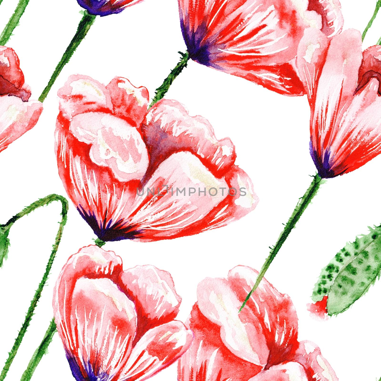 White Pattern with Watercolor Poppies by kisika
