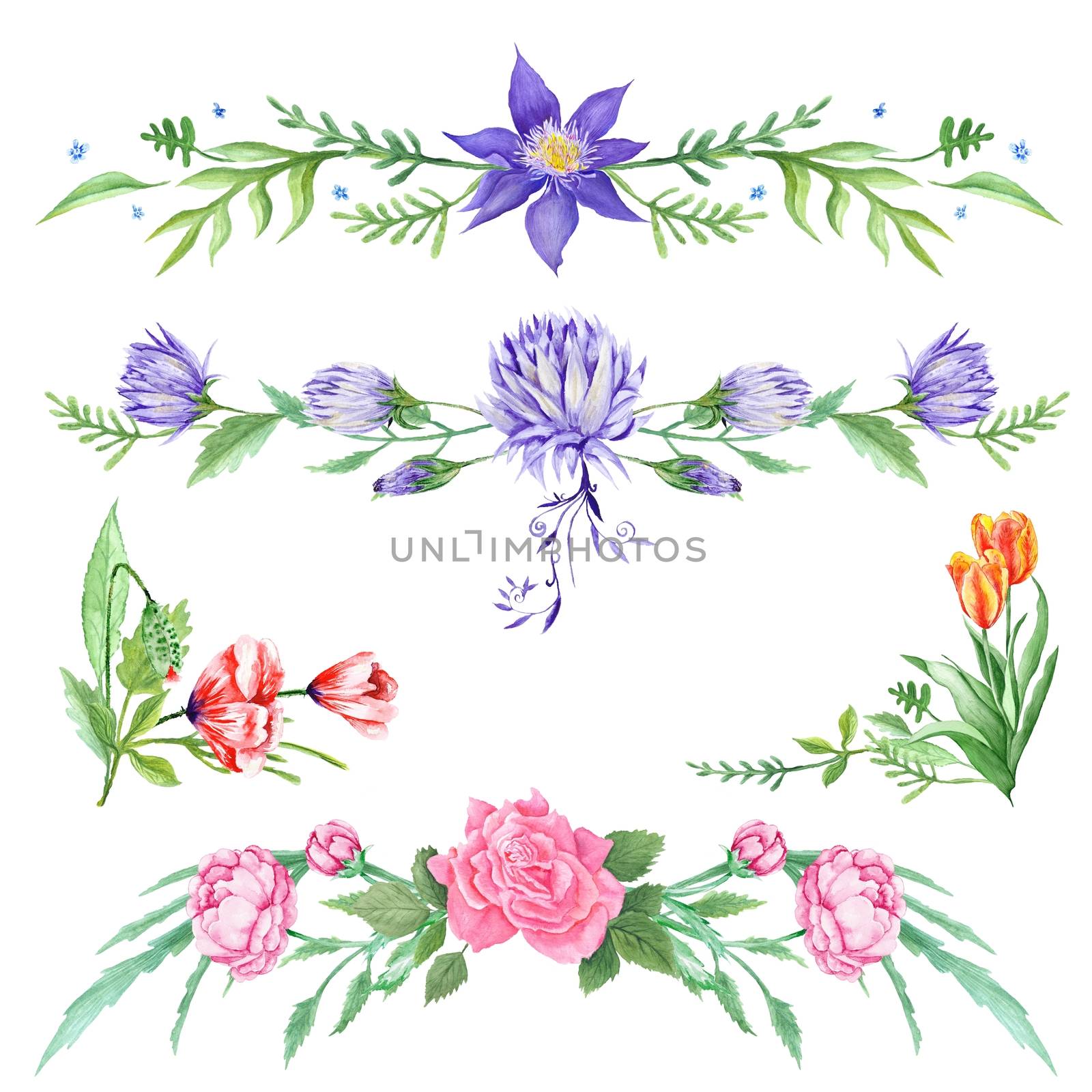 Elegant Watercolor Floral Vignettes by kisika