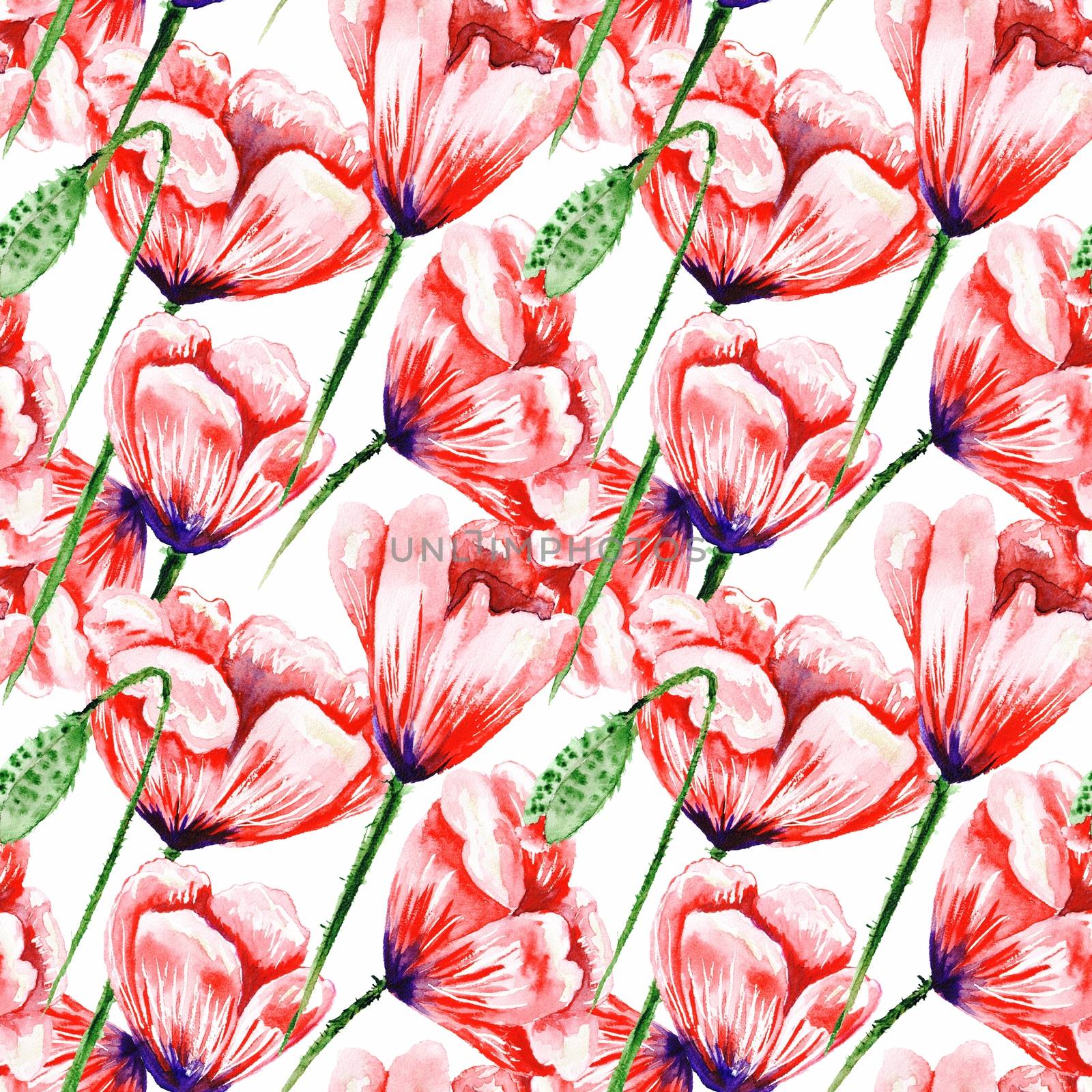 White Pattern with Watercolor Poppies by kisika