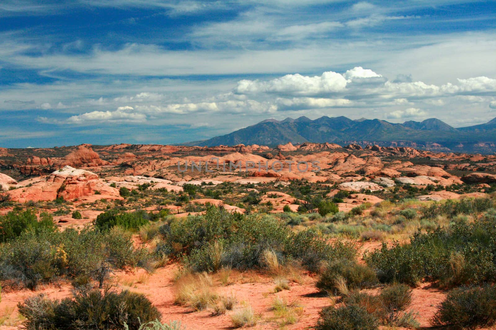 La Sal Mountains, Moab Utah, USA by Catmando