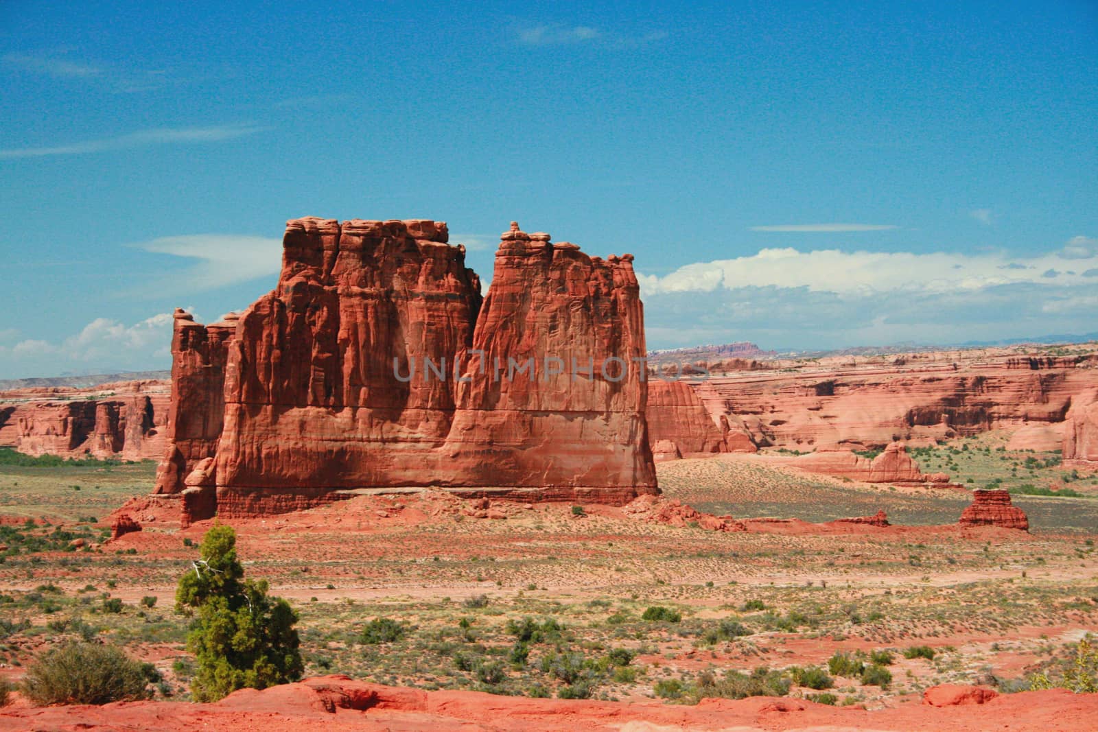 Entrada Sandstone carved for millions of years of weathering result in fantastic shapes in Arches National Park Moab Utah, USA. The Organ is part of the Courthouse Towers complex.