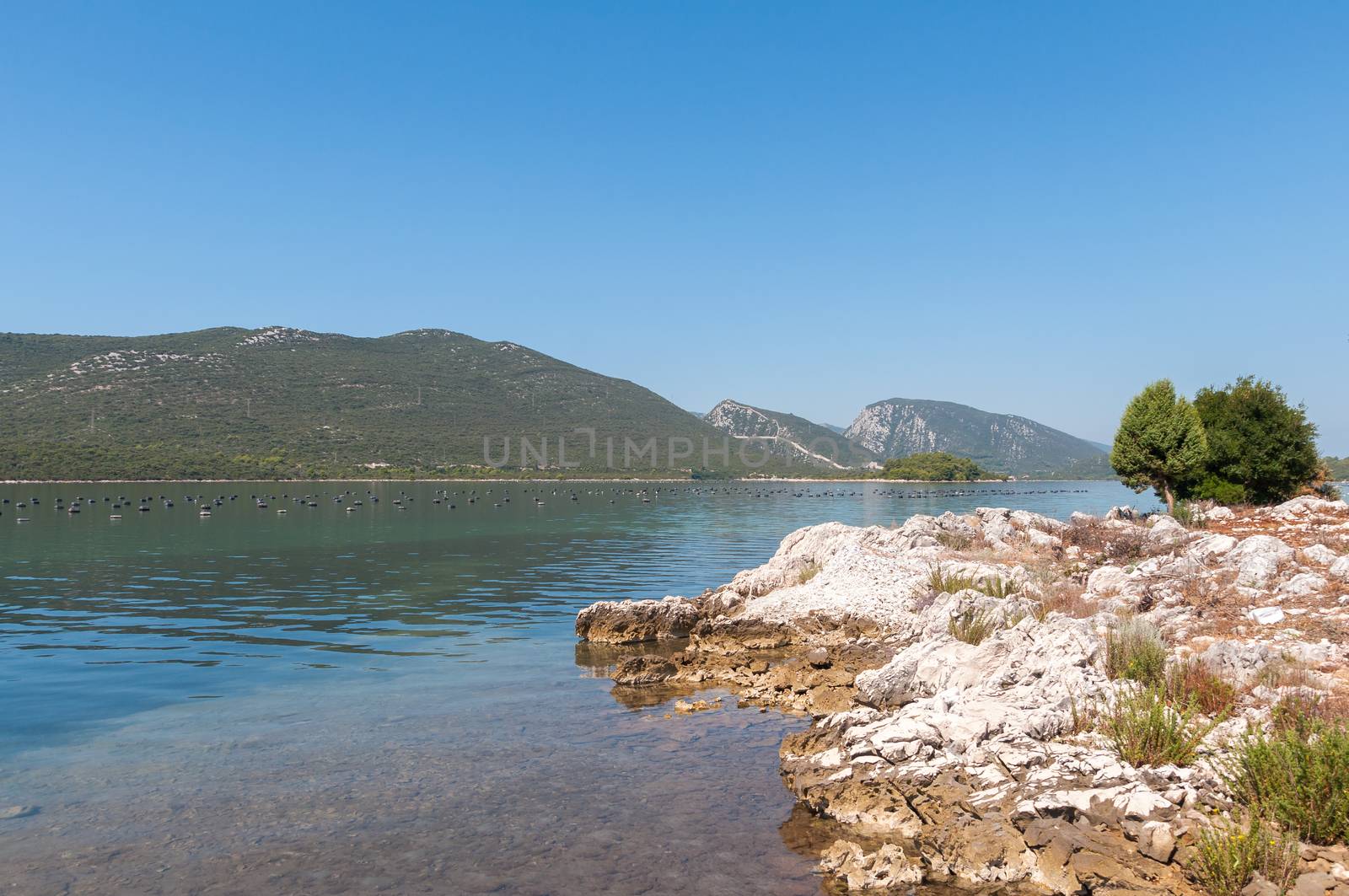 View of the Mali Ston town in Croatia with the world known Ston walls