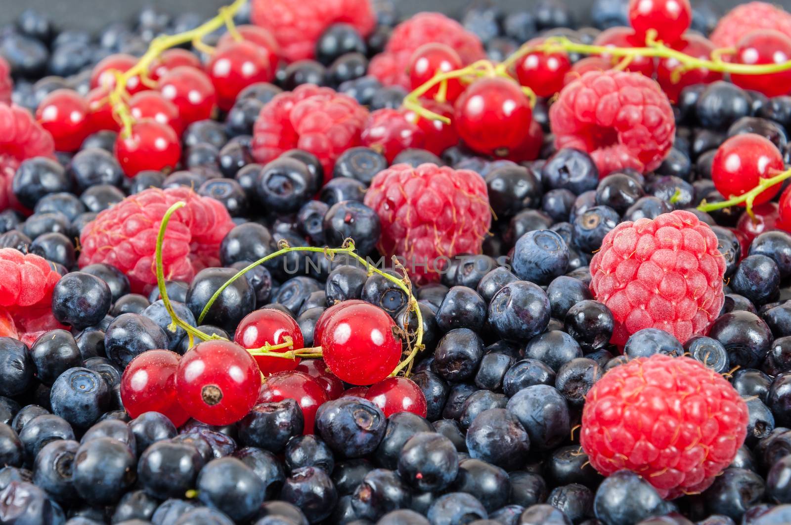 Background made of blueberries, raspberries and red currant