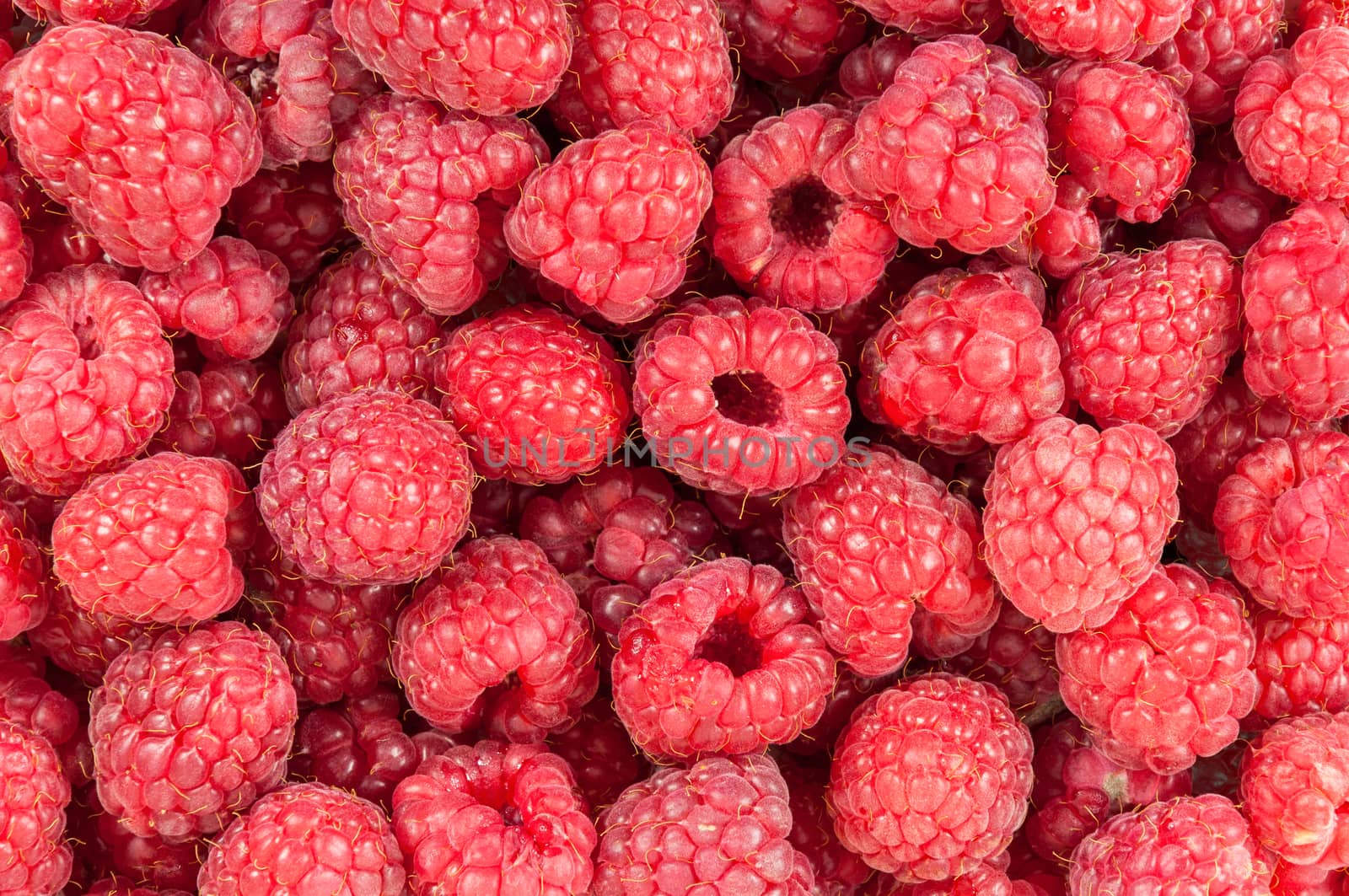 Background made of fresh, ripe, sweet raspberries