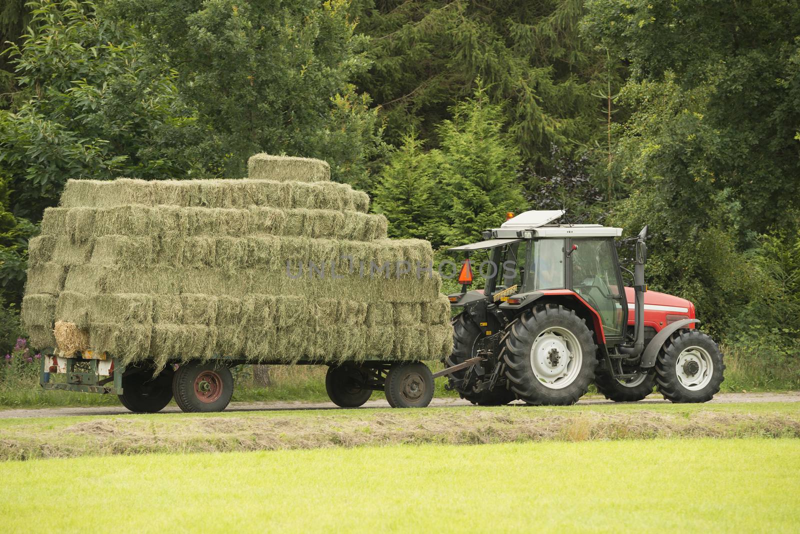 Transportation of bales of hay with a red tractor and flat car

