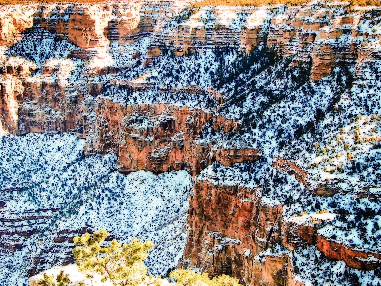 snow at Grand Canyon national park, USA in winter