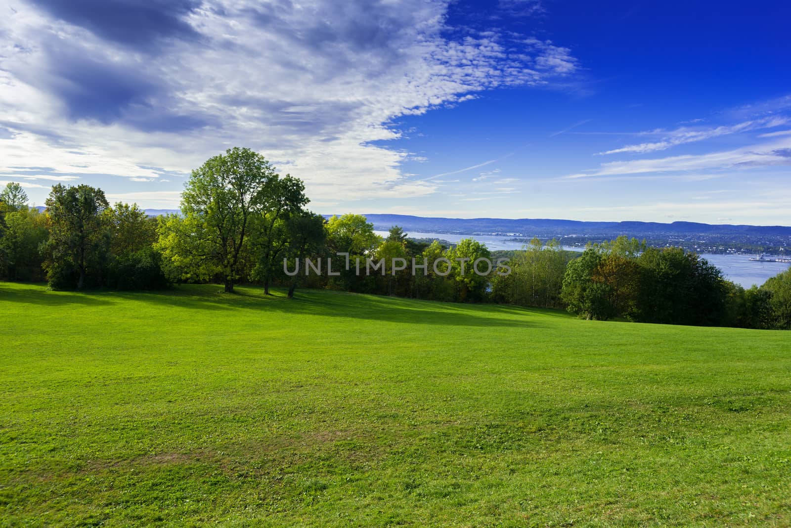 Grassy meadow with trees by Nanisimova