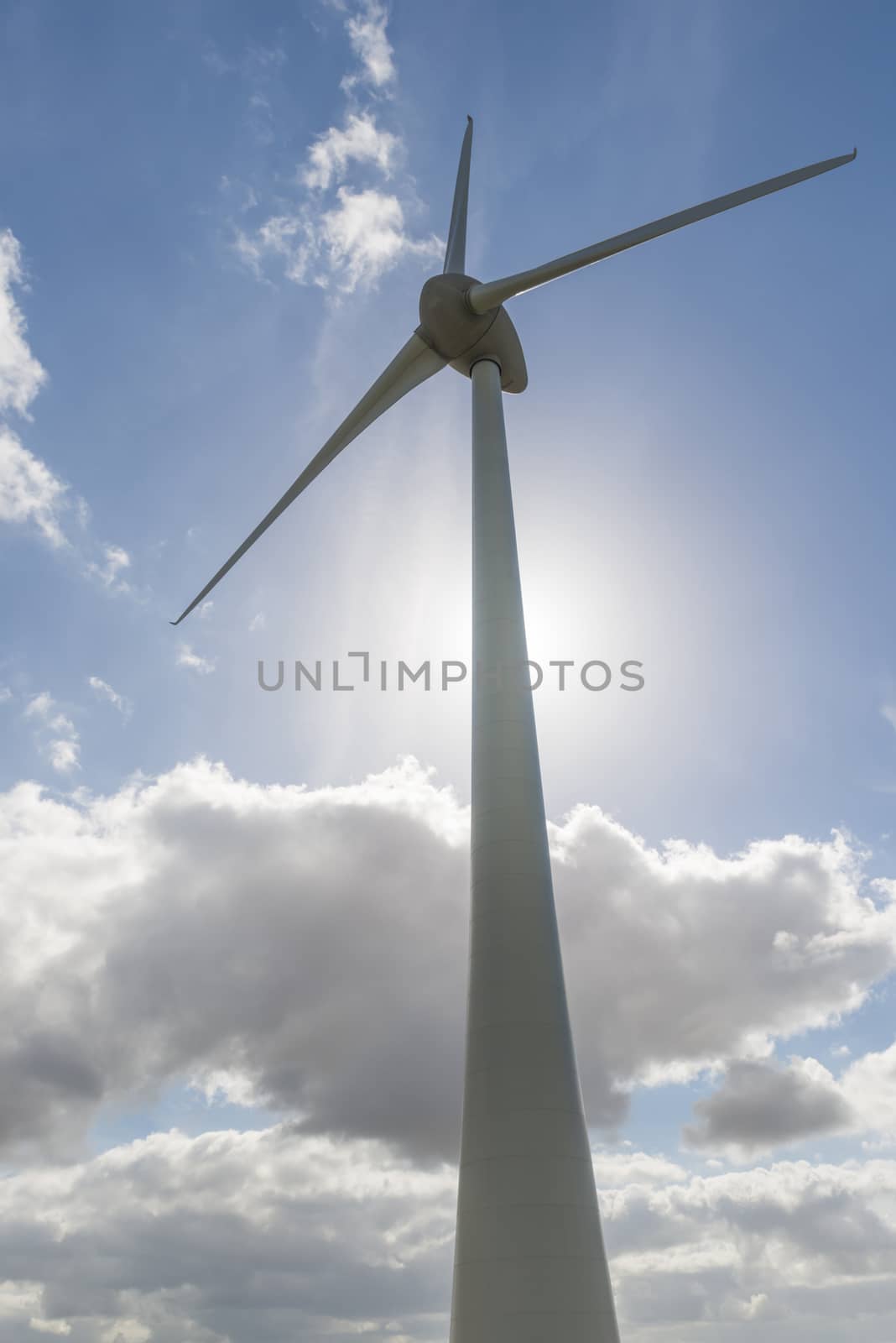 Modern windmill with against light from the Sun in the Dutch Noordoostpolder

