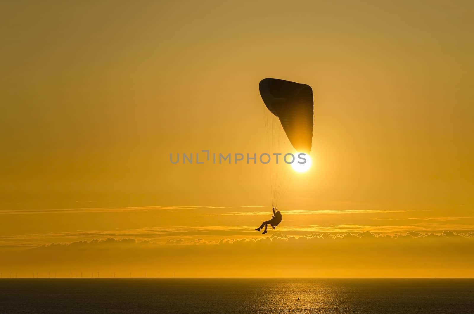 Parapending on the beach of Zoutelande by Tofotografie