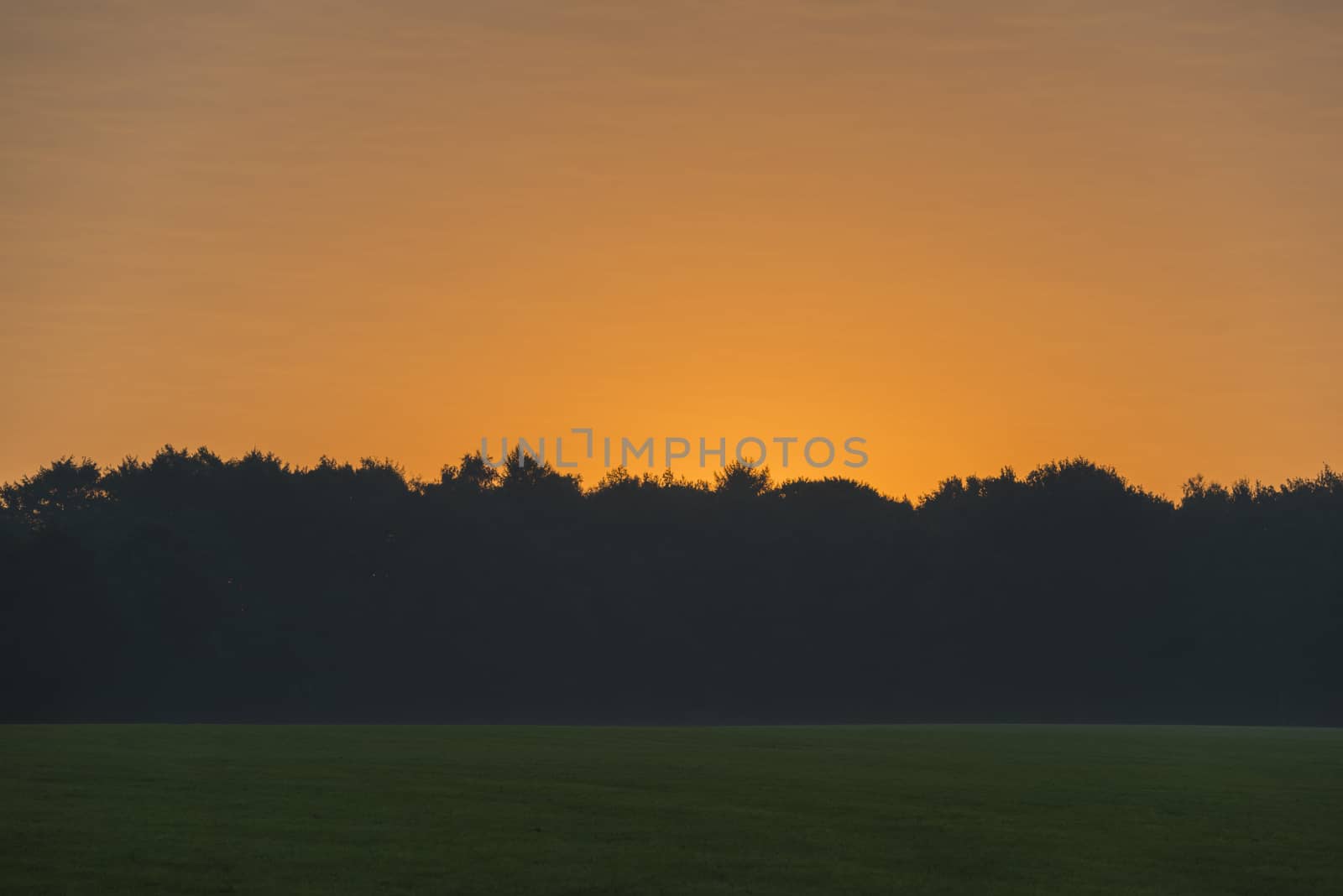 Sunrise above a meadow and forest as a background
