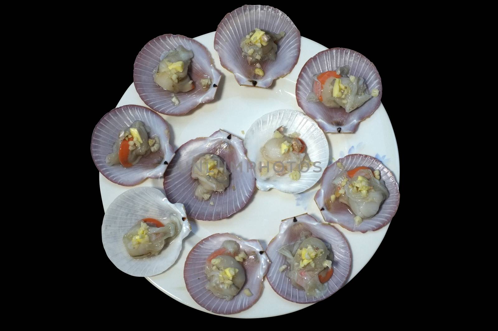 Raw fresh scallop