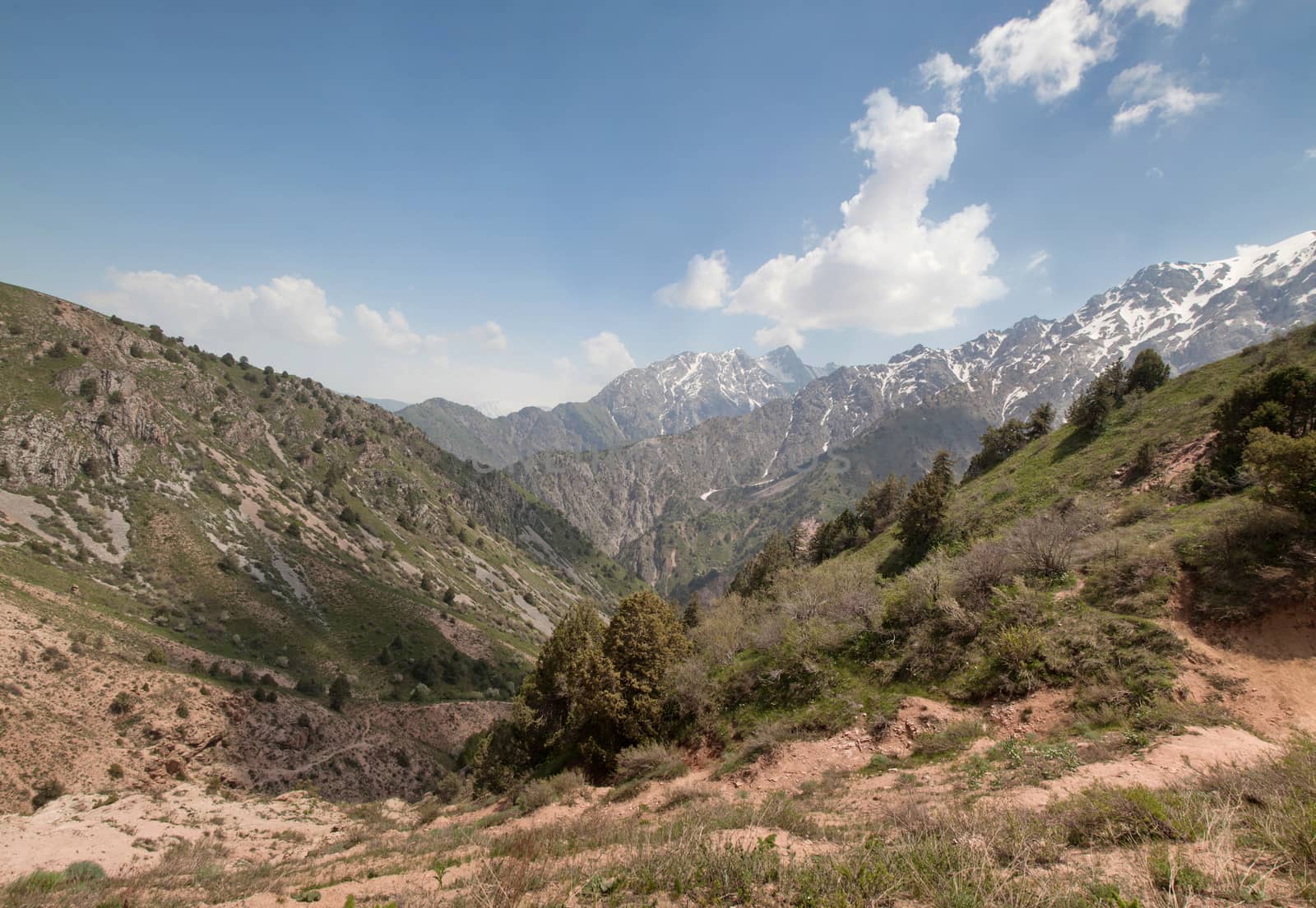 Panorama of Chimgan mountains, Uzbekistan, on a sunny day