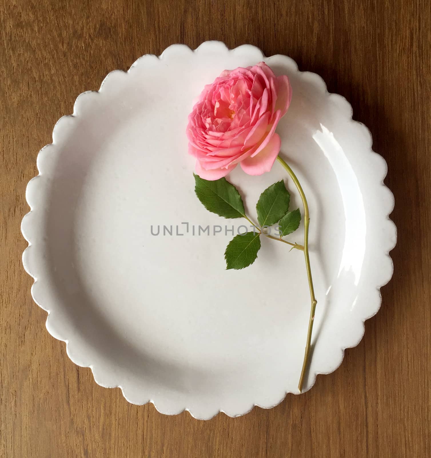 Beautiful roses lay on a white plate with wooden flooring.