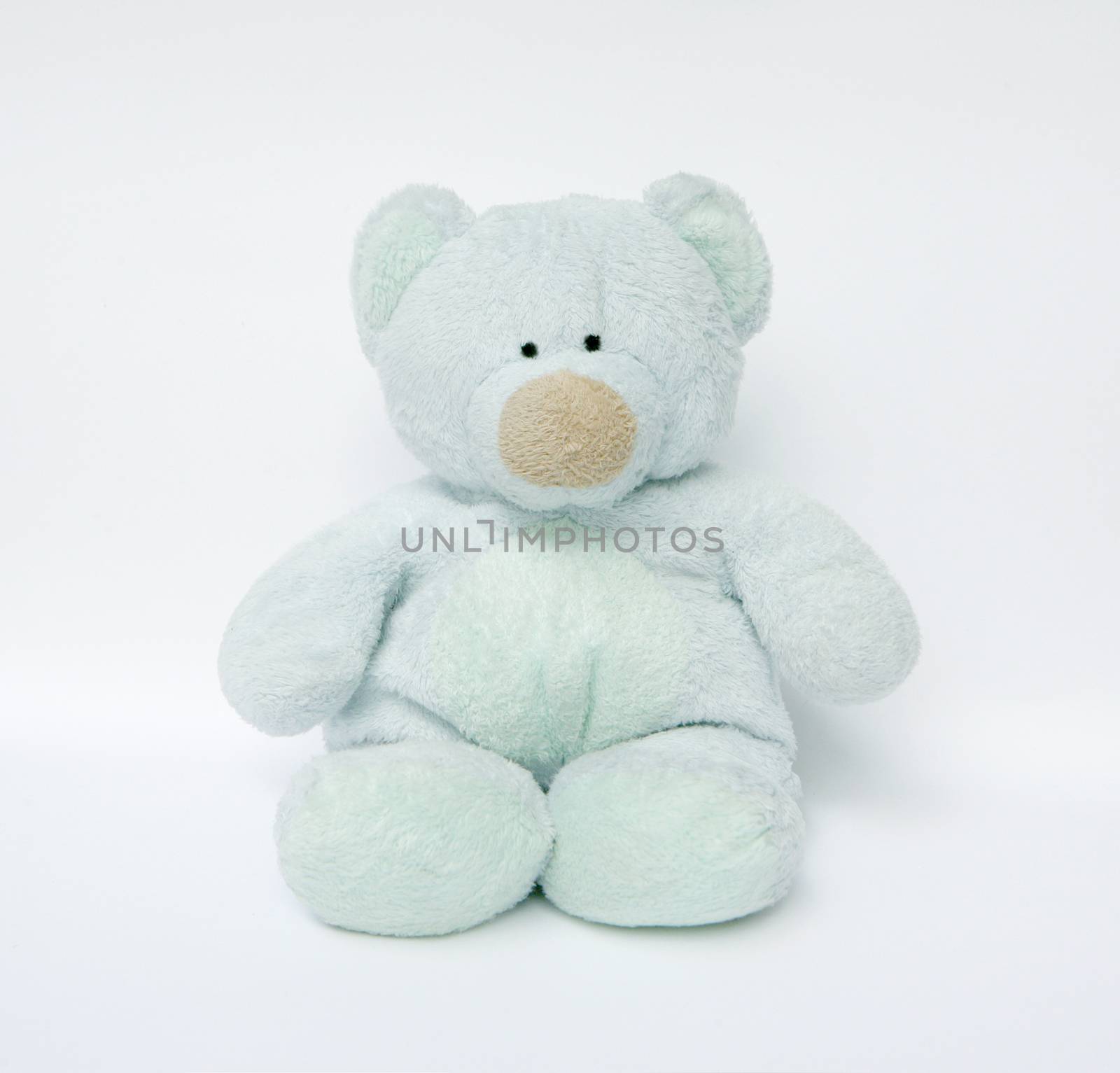 teddy bear Blue on white background by ohhlanla