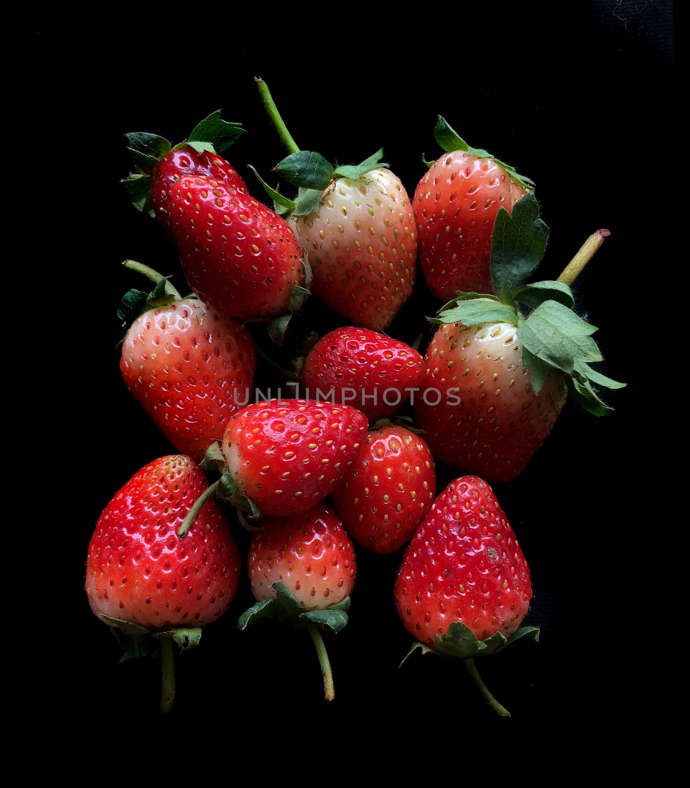 Strawberry The currency rose flowering plants in the family. The result can be eaten In the past, plant a cover crop to plant more trees.