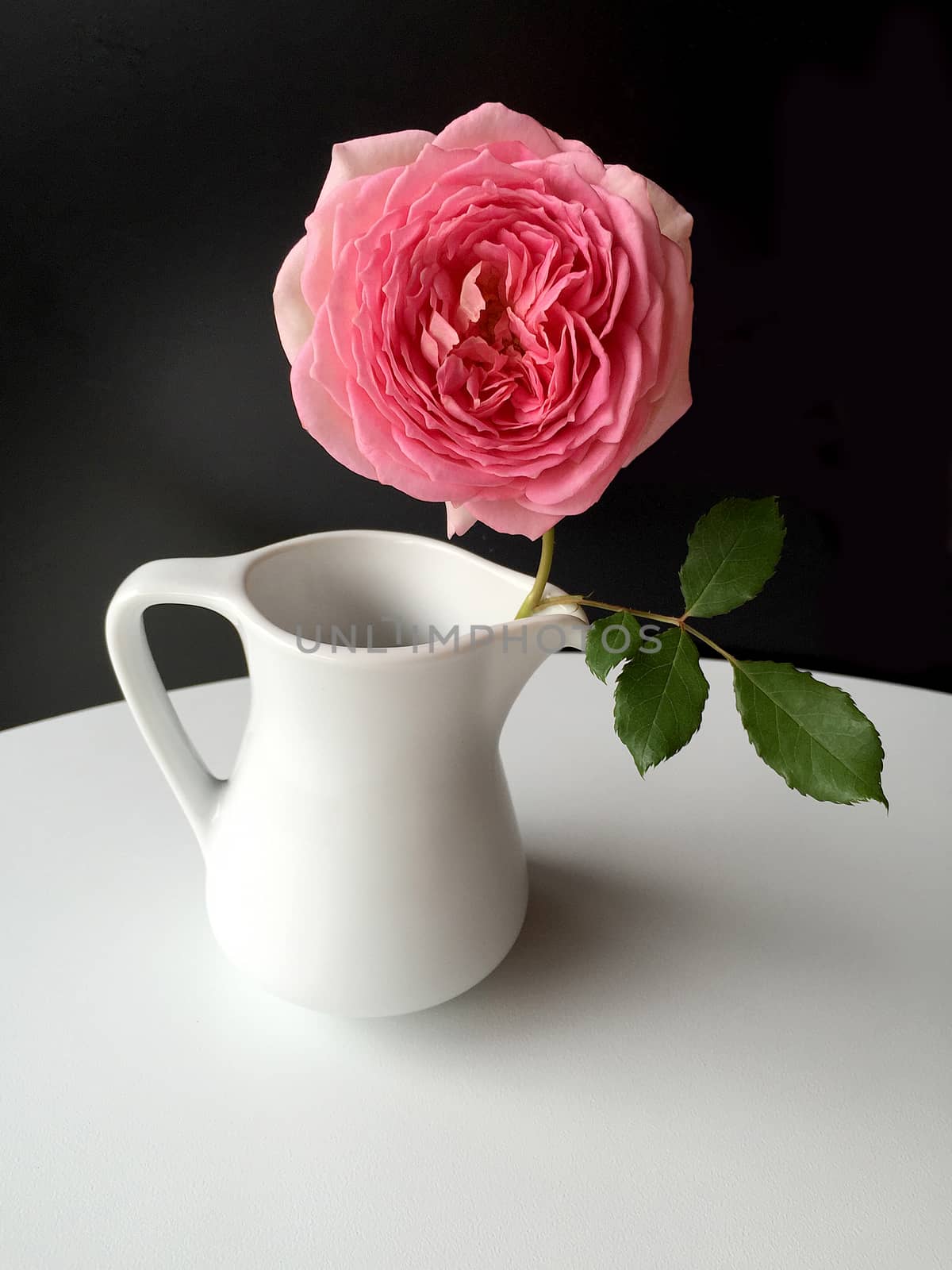 English Rose , flagon white ceramic by ohhlanla