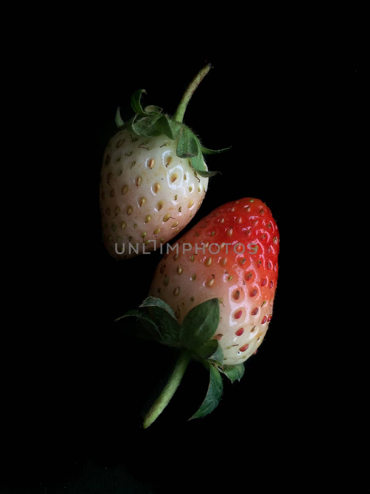 strawberry by ohhlanla