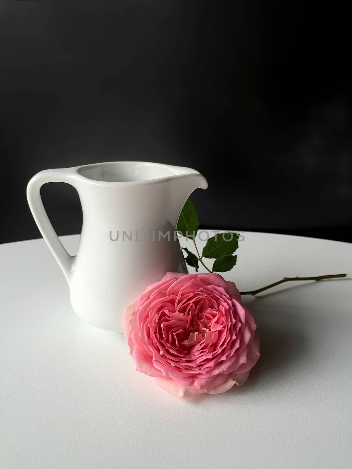 English Rose , flagon white ceramic