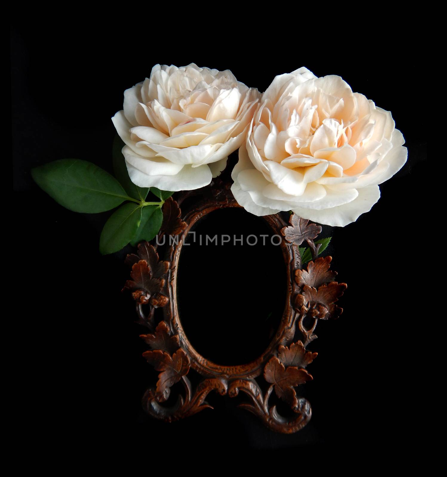 Frame roses lay on a black background.