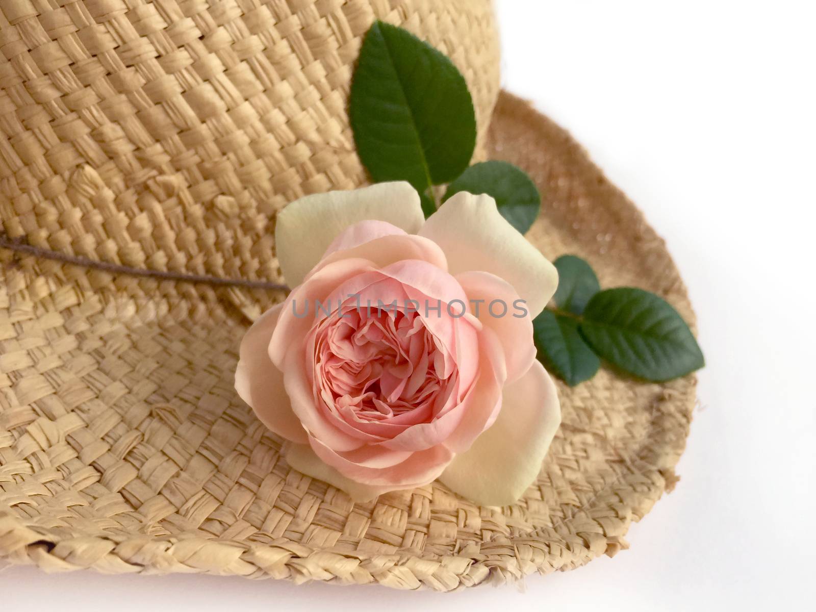 Roses Top Hat