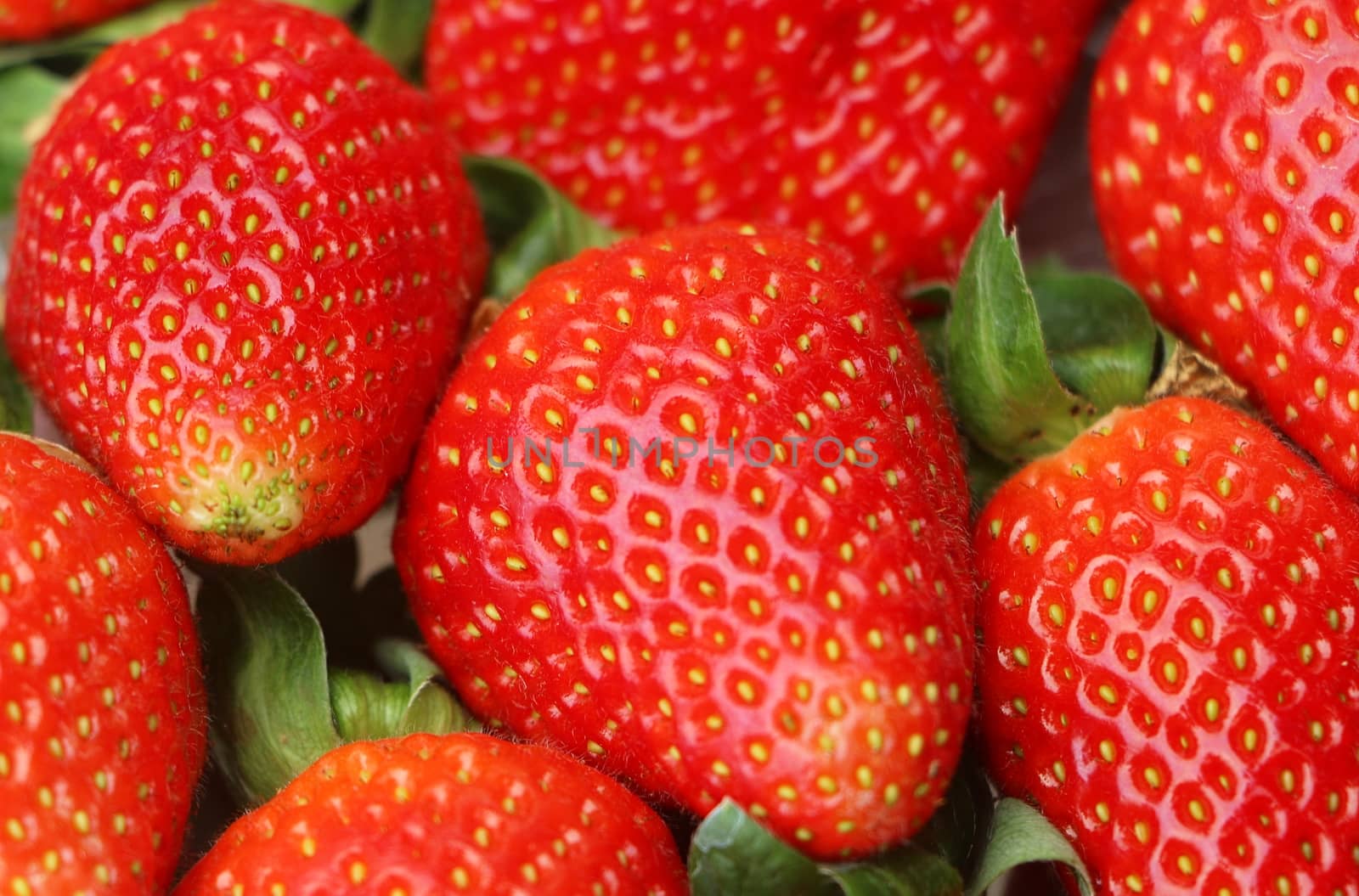 Fresh red Strawberries by razihusin