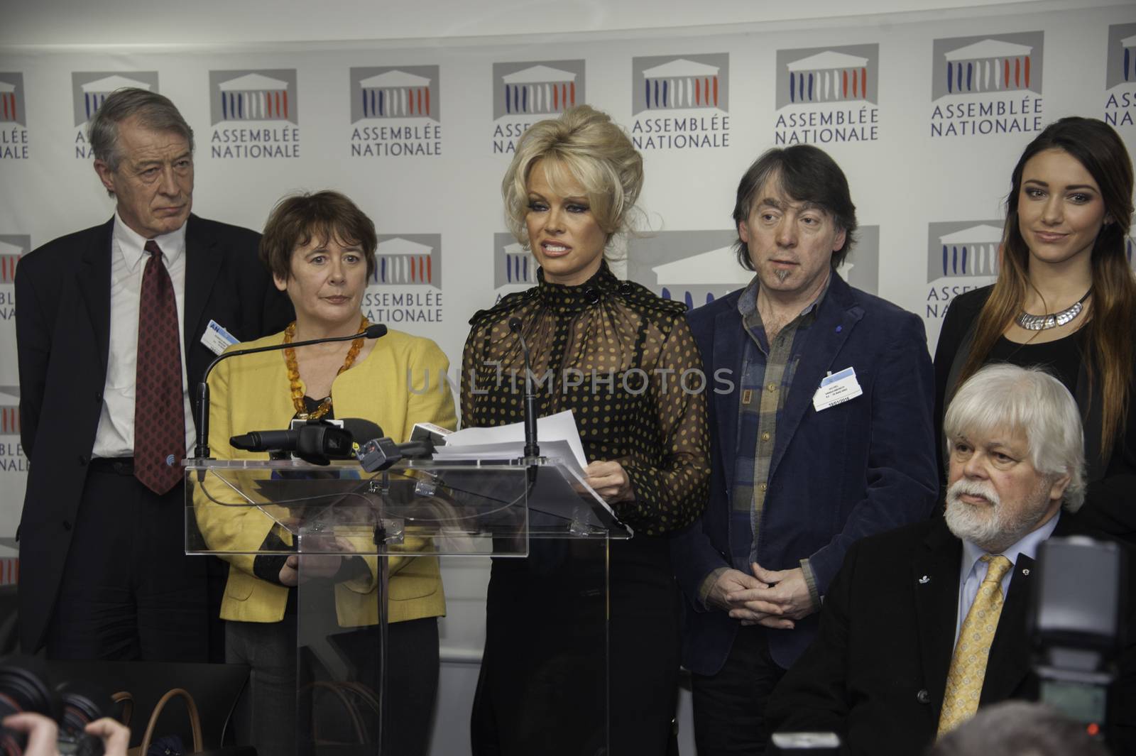 FRANCE, Paris : US actress Pamela Anderson gives a press conference after attending a session of questions to the Government at the French National Assembly in Paris on January 19, 2016.Former Baywatch star Pamela Anderson set feathers flying in the French parliament when she turned up to support a ban on force-feeding ducks and geese to make foie gras 