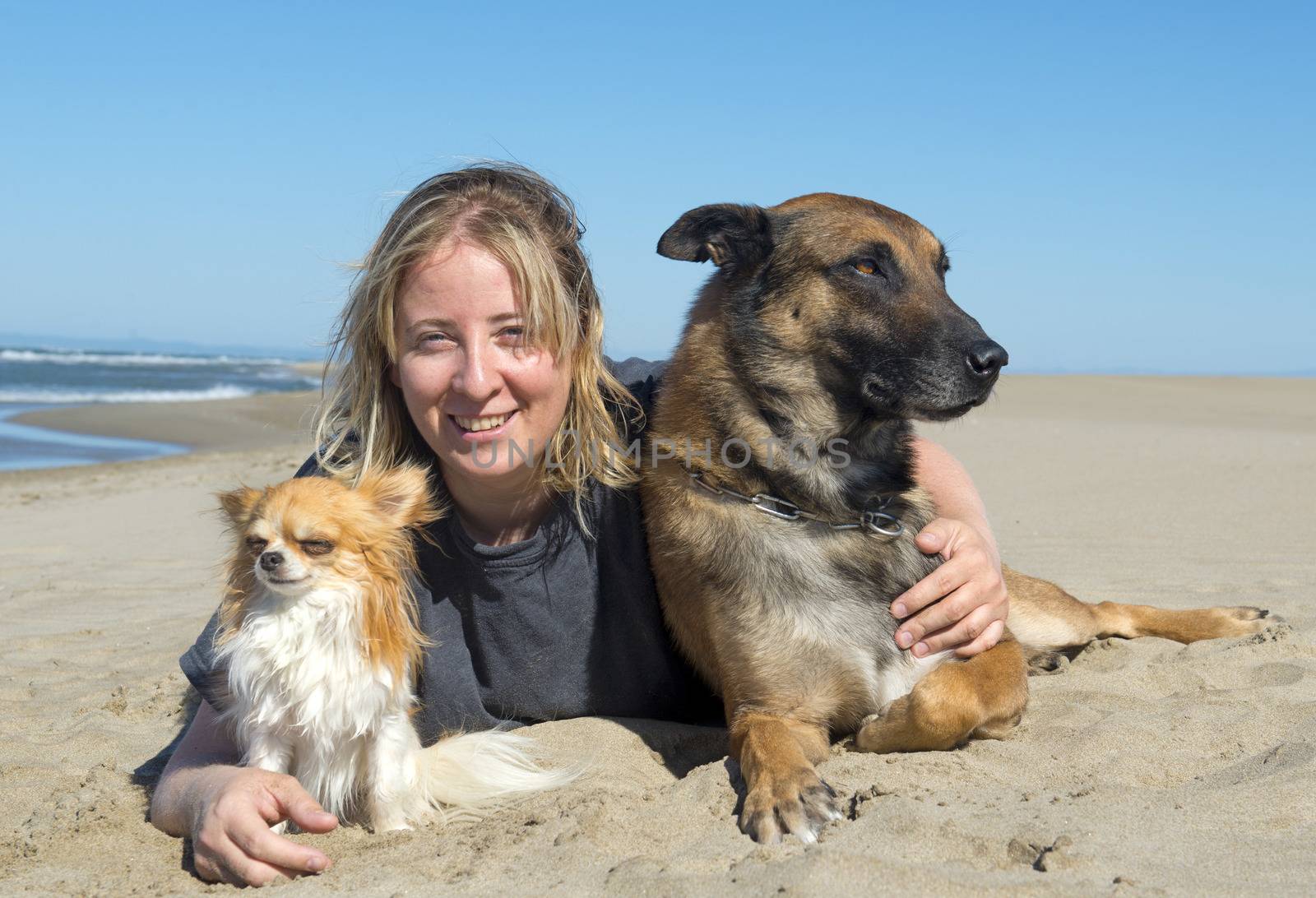girl and two dogs on the beach
