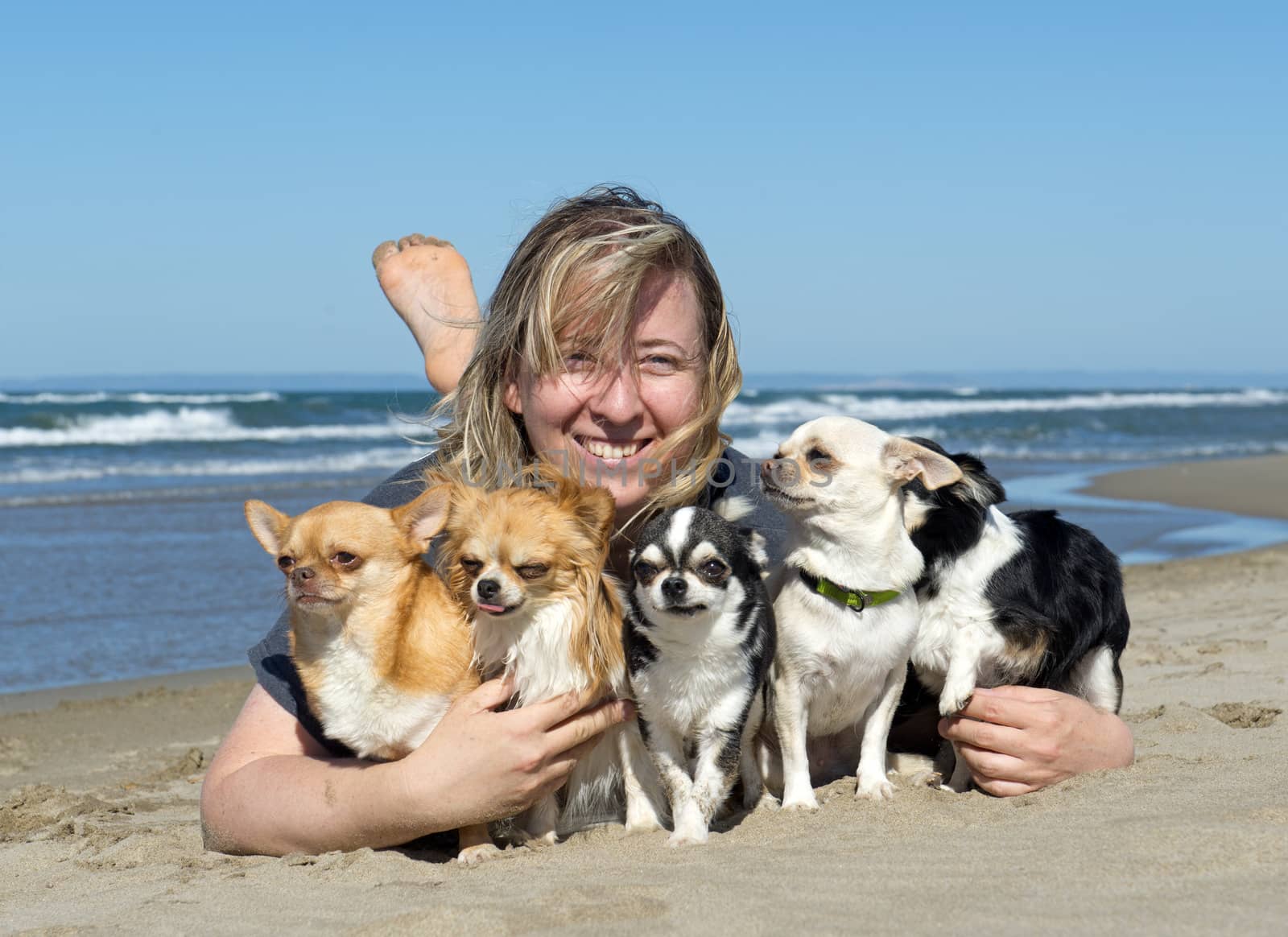 woman and chihuahuas laid down on the beach