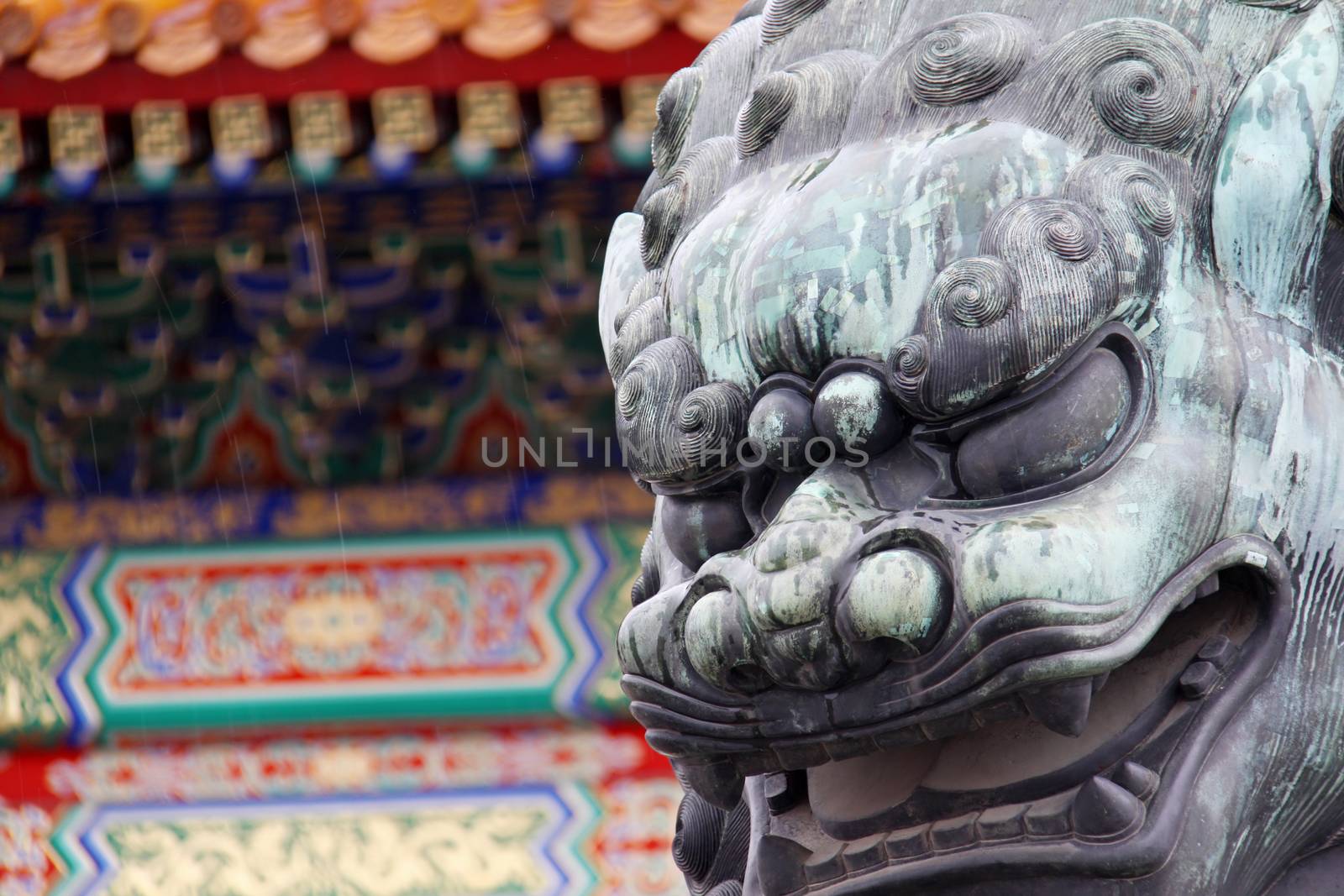 Chinese Lion by Aarstudio