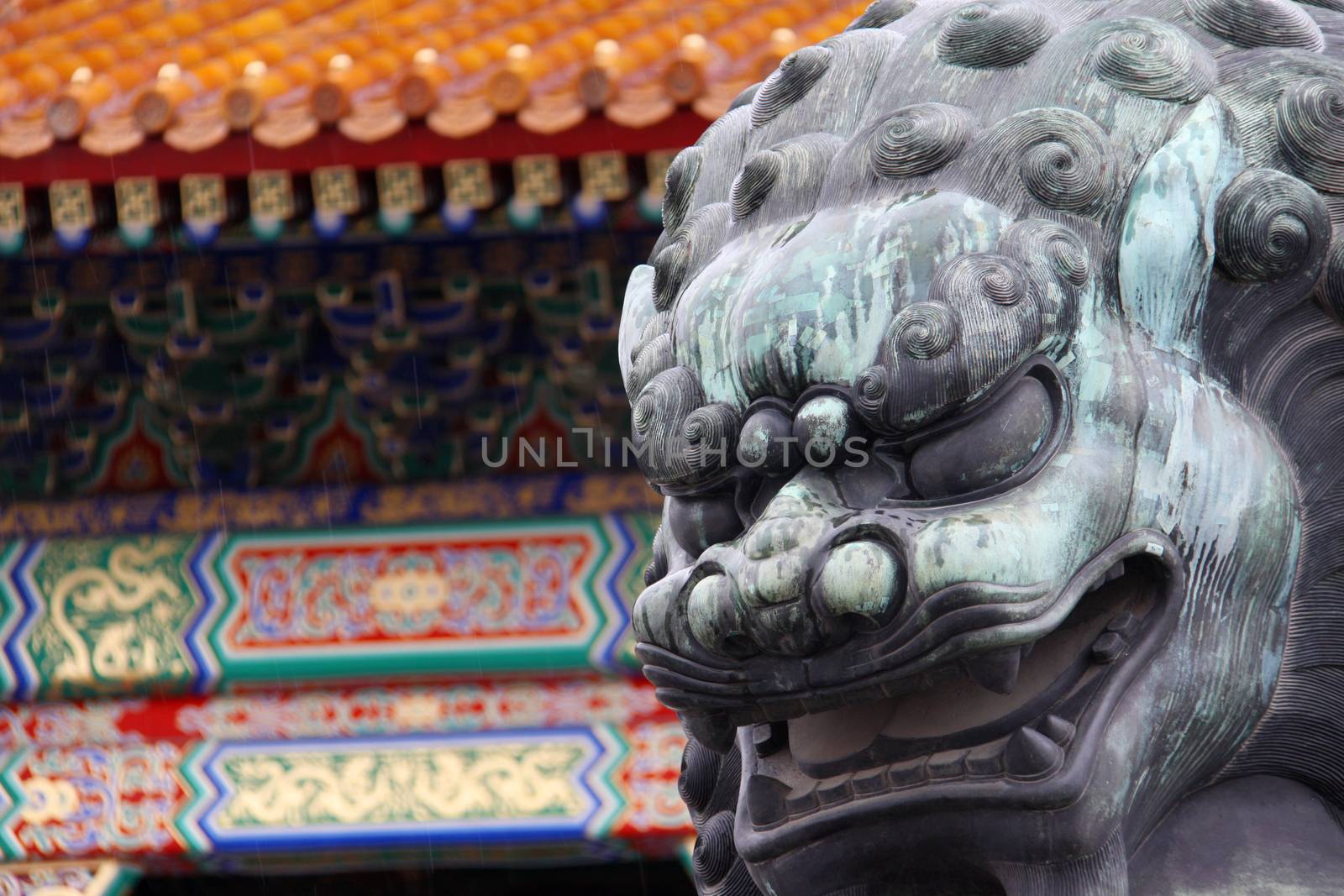 Lion made from copper taken infront of the Forbidden City in Beijing, China (it's a bit wet from the rain)