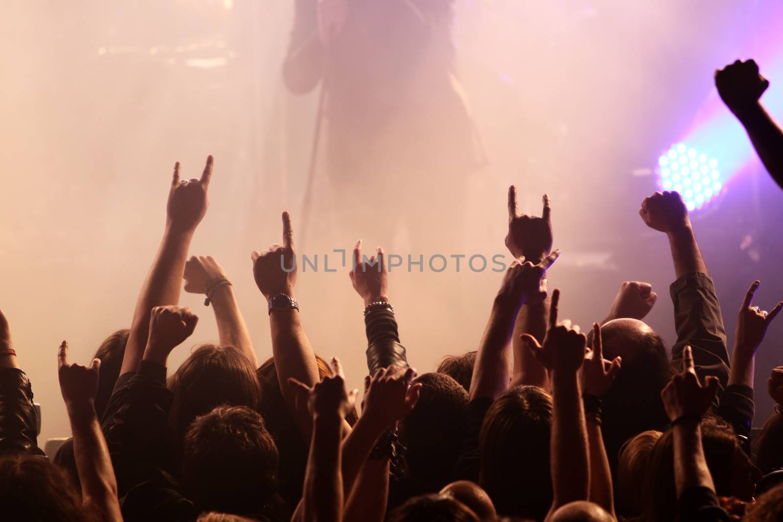 Crowd rocking on the concert