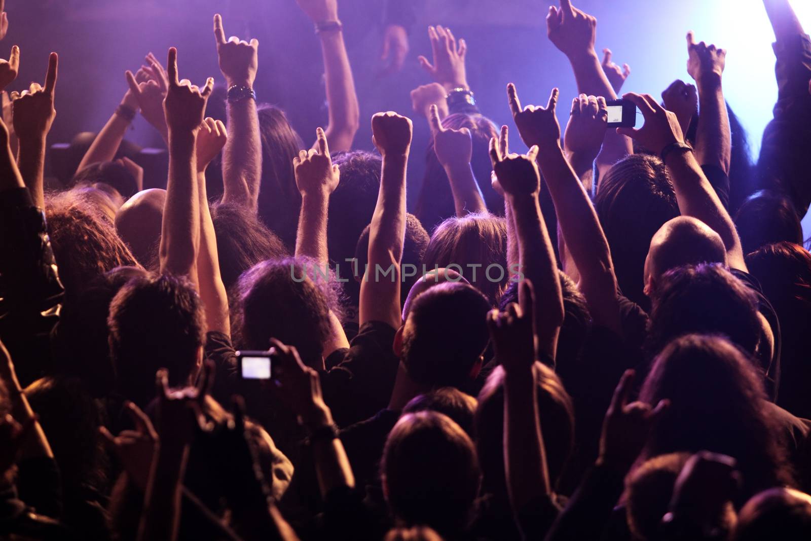 Crowd rocking on the concert