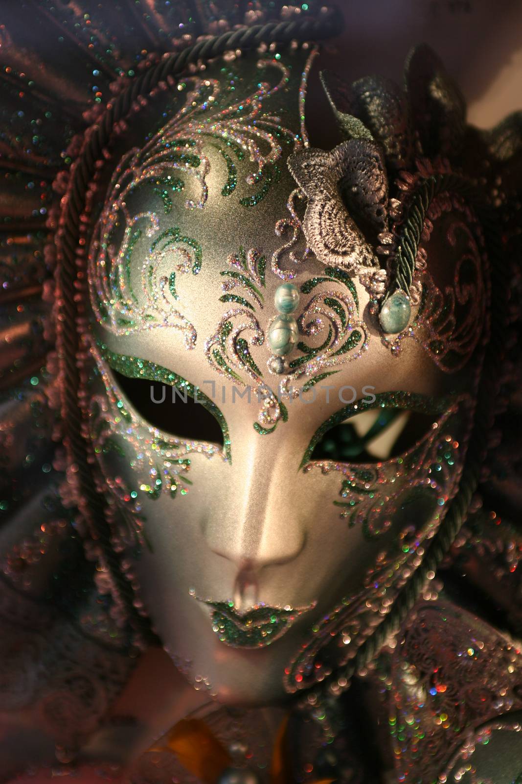 Beautiful clasical mask in Venice