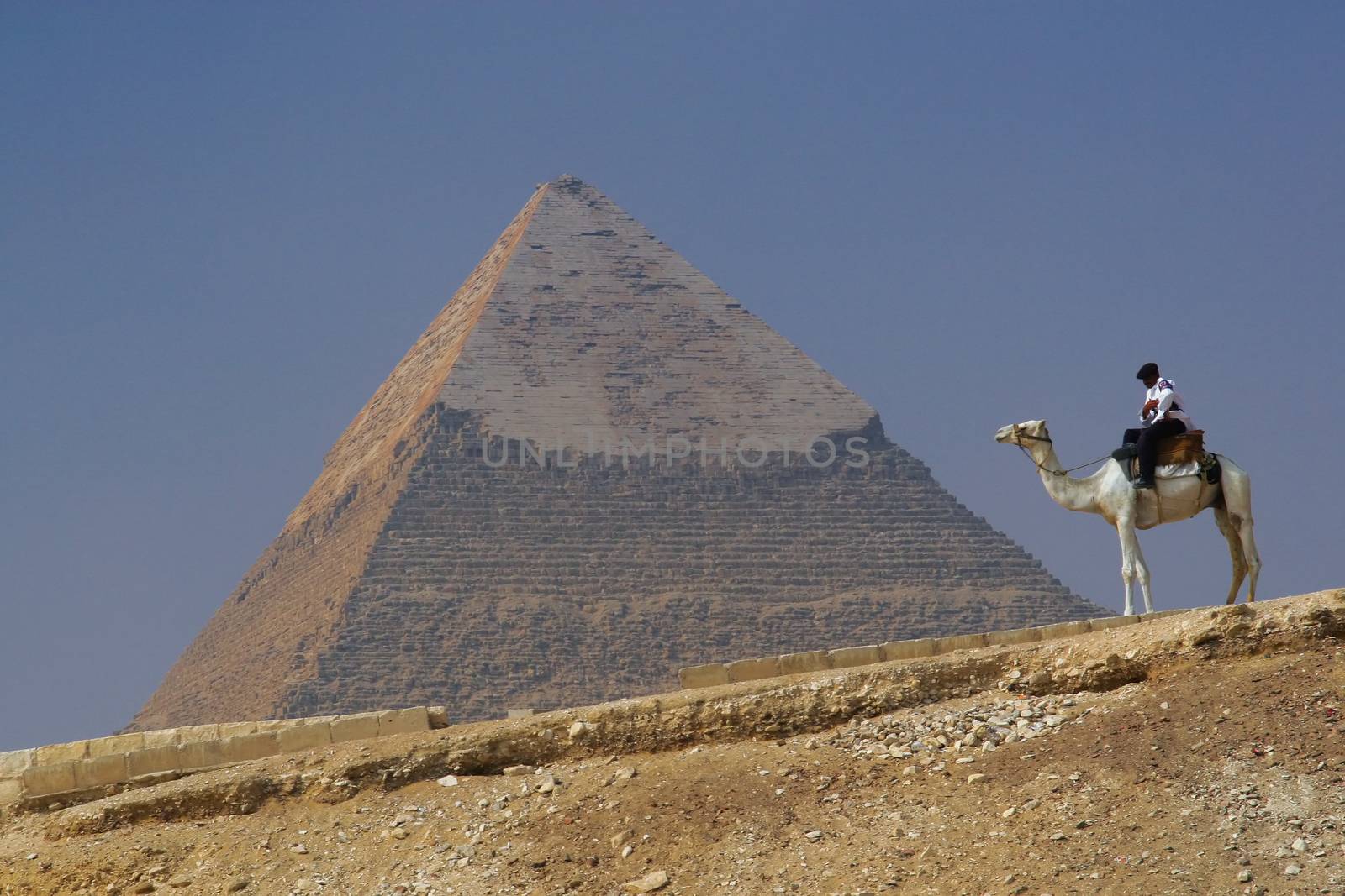 Pyramid of Khafre (Chephren) in Giza - Cairo, Egypt with a tourist police on a camel