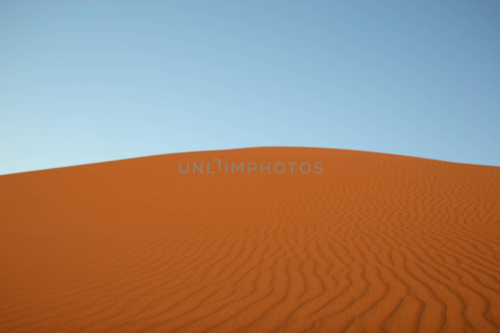 Empty sand dune in the desert