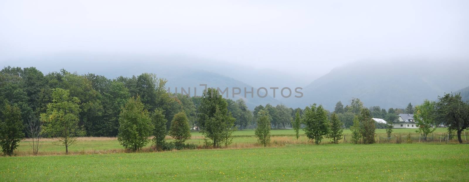 Panorama of beautiful green landscapes in the mist and rain