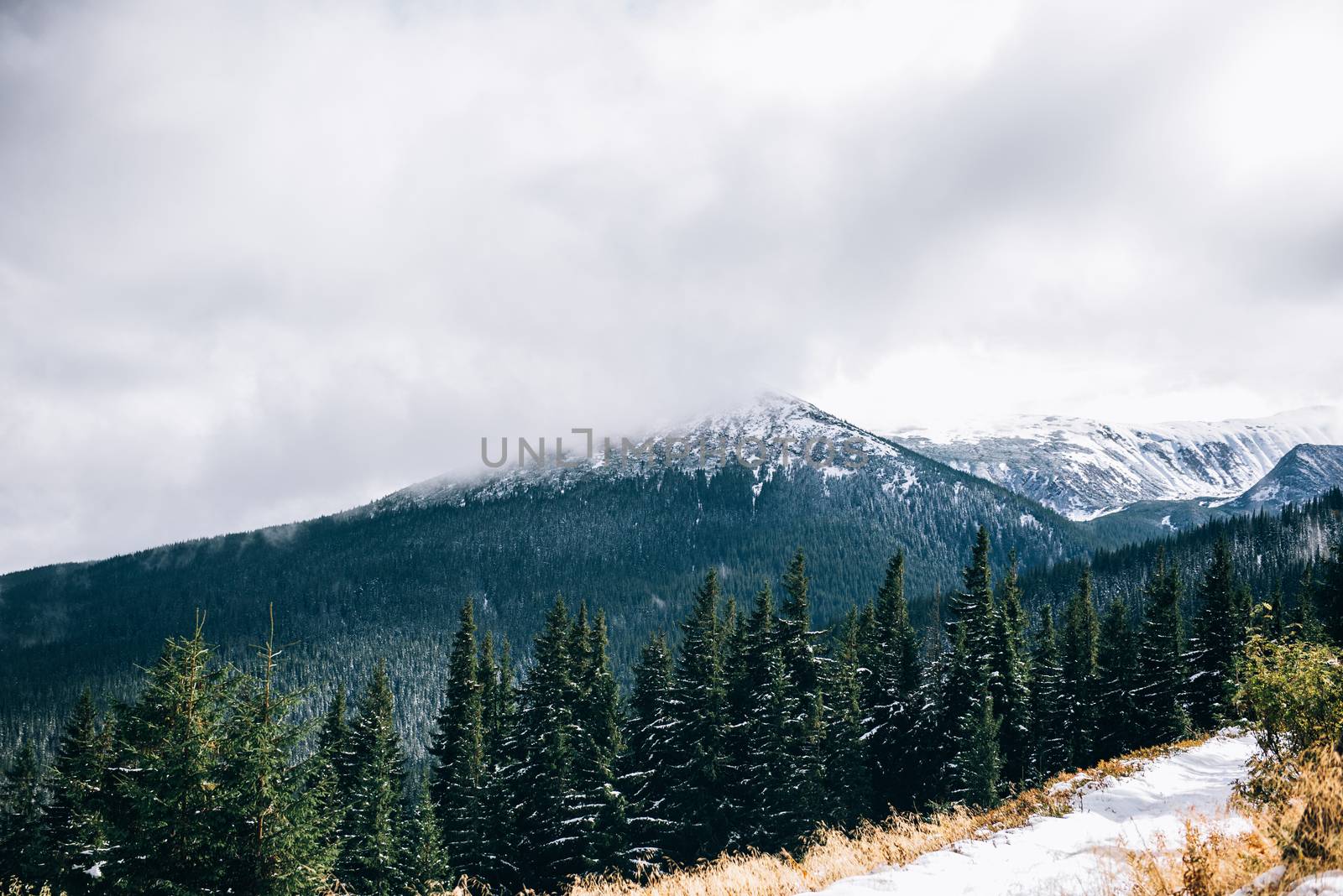 winter landscape in the Carpathian forest, mountains, clouds mist, trees