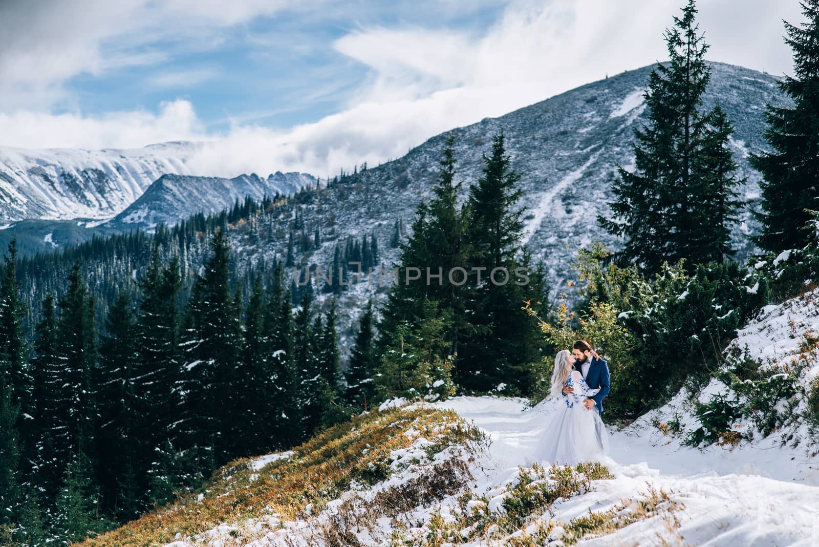 groom in a blue suit and bride in white in the mountains Carpath by Andreua