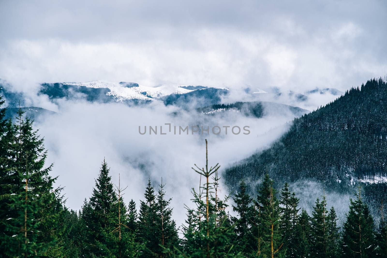 winter landscape in the Carpathian forest, mountains, clouds mist, trees