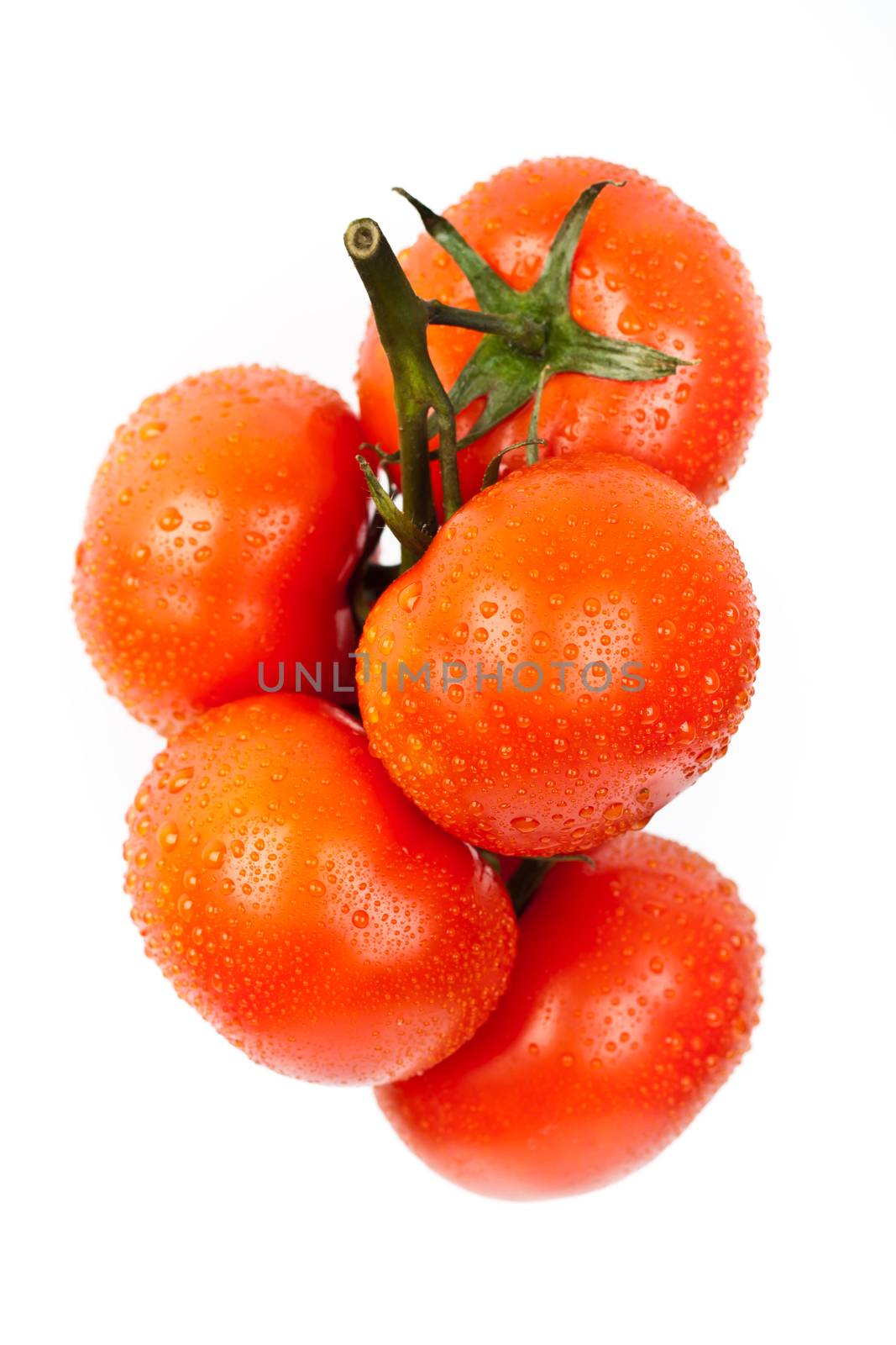 fresh tomatoes on a white background