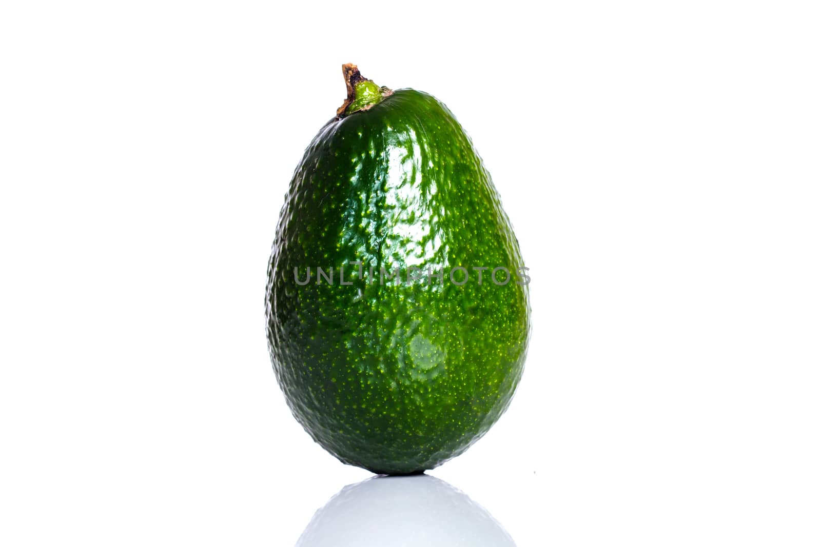 avocado on white background