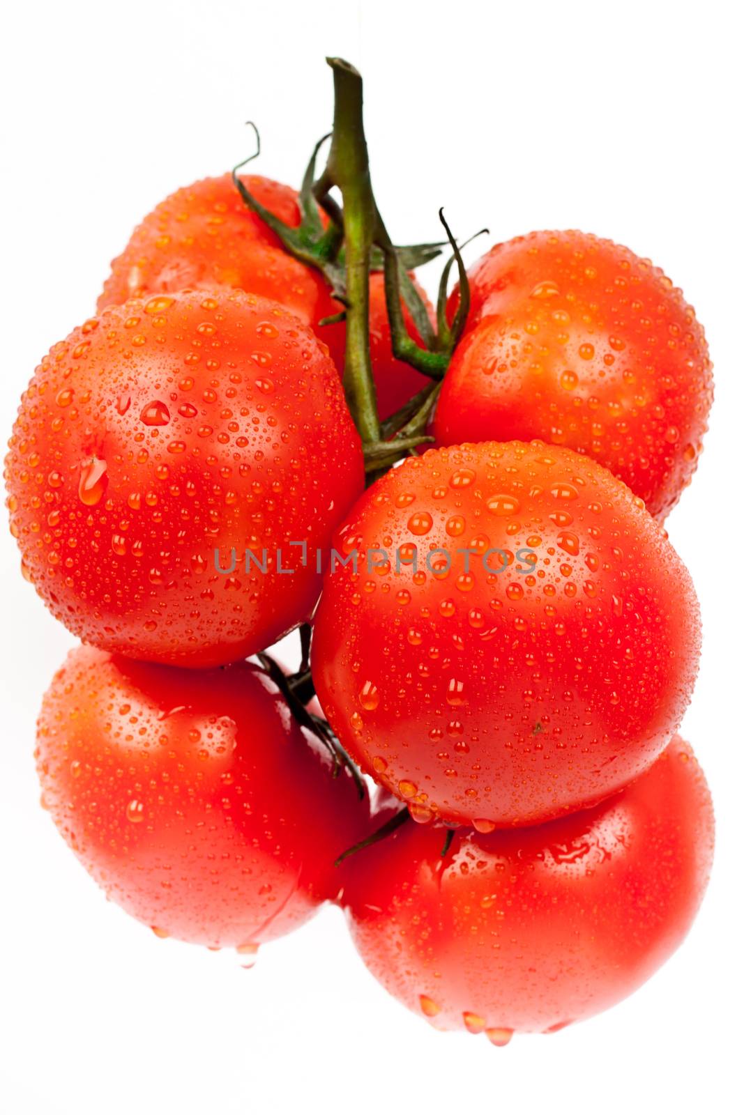 fresh tomatoes on a white background