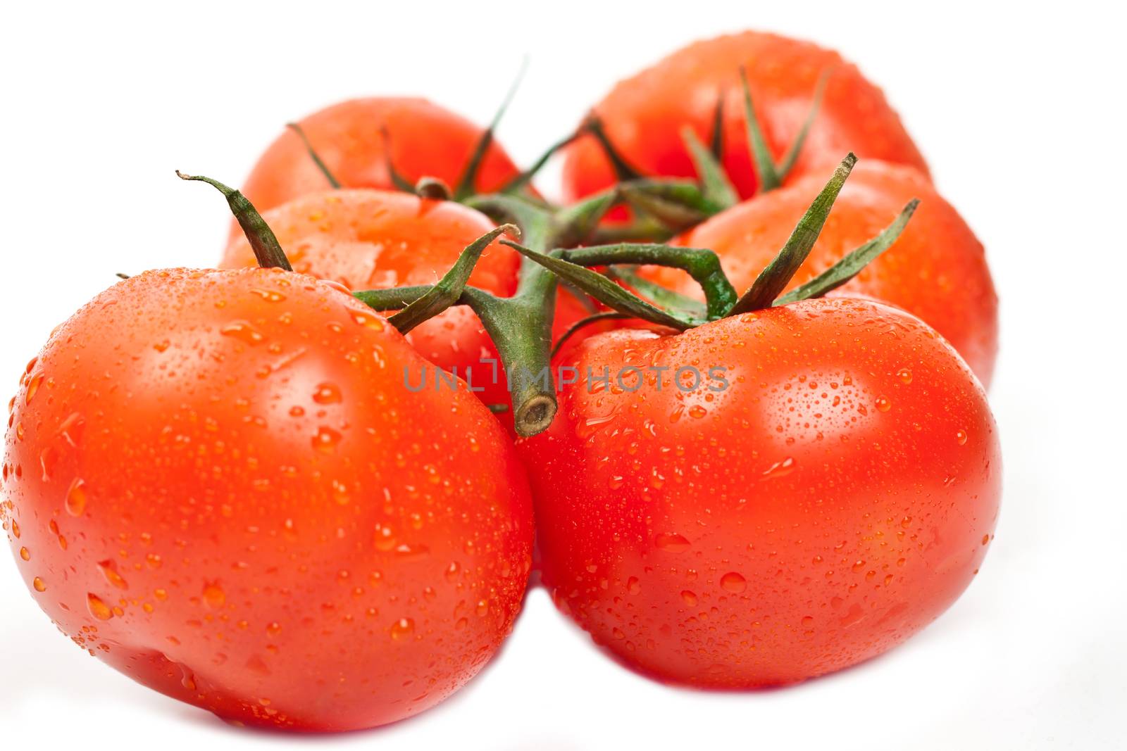 fresh tomatoes on a white background