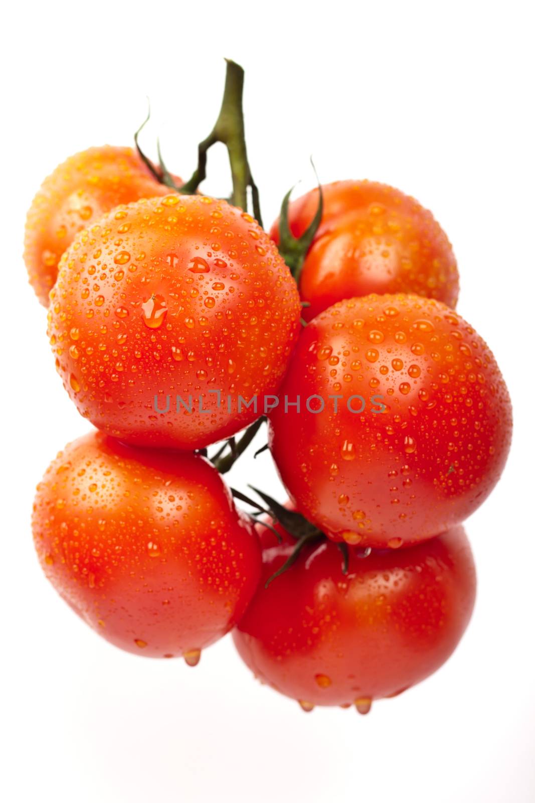 fresh tomatoes on a white background