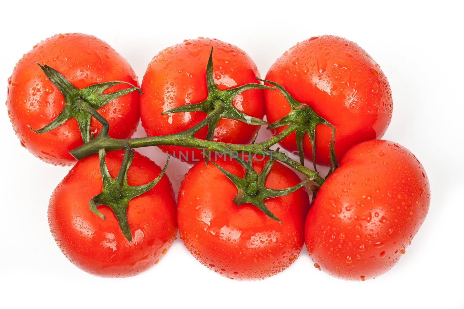 fresh tomatoes on a white background