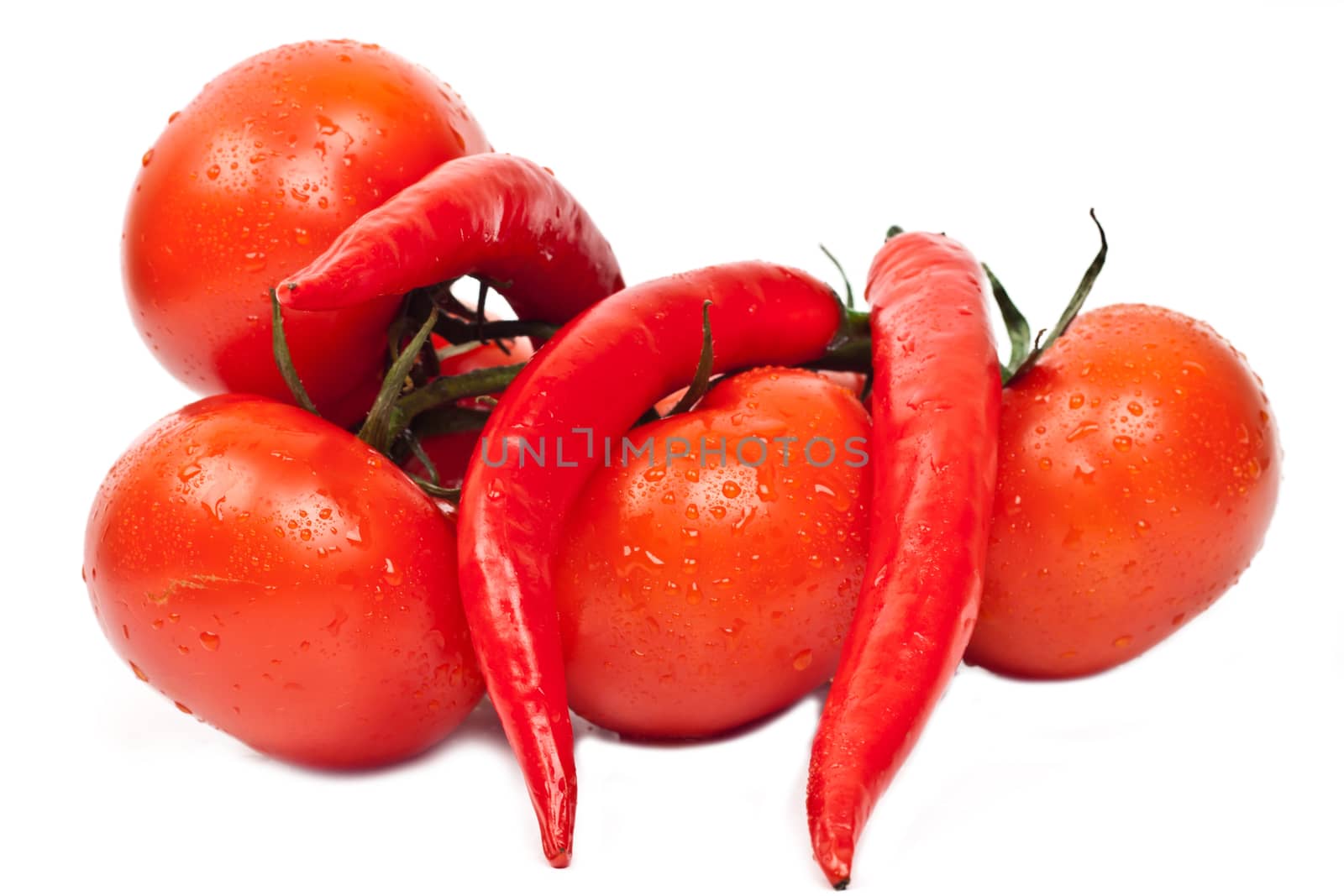 tomatoes and hot peppers on a white background