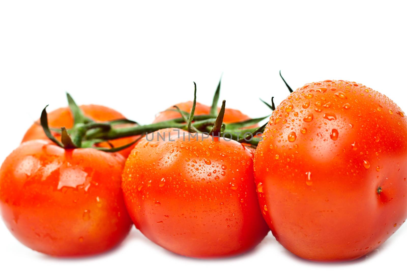 fresh tomatoes on a white background